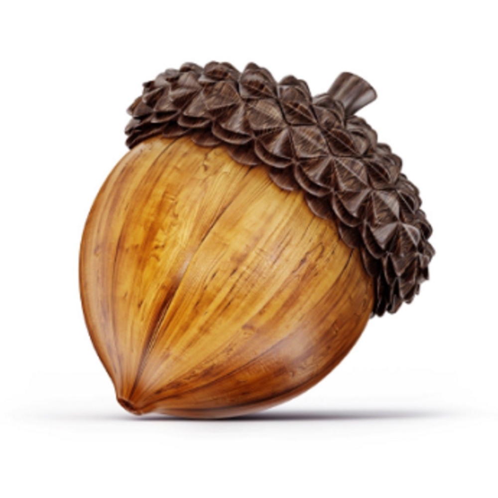 Meet your Posher, Acorn